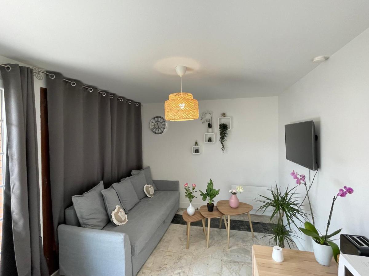 Joli T2, Terrasse Et Jardin, Ideal Pour Familles, A 15 Min De L'Aeroport Roissy Cdg Tremblay-en-France Exterior foto